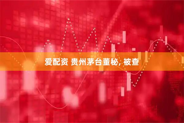 爱配资 贵州茅台董秘, 被查