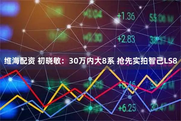 维海配资 初晓敏：30万内大8系 抢先实拍智己LS8