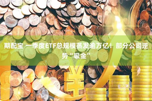期配宝 一季度ETF总规模蒸发逾万亿！部分公司逆势“吸金”