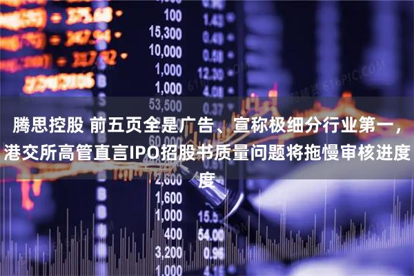 腾思控股 前五页全是广告、宣称极细分行业第一，港交所高管直言IPO招股书质量问题将拖慢审核进度