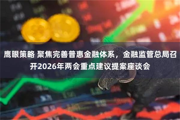 鹰眼策略 聚焦完善普惠金融体系,金融监管总局召开2026年两会重点建议提案座谈会
