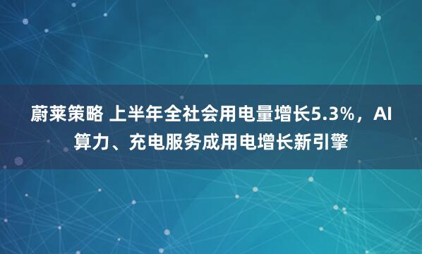 蔚莱策略 上半年全社会用电量增长5.3%，AI算力、充电服务成用电增长新引擎