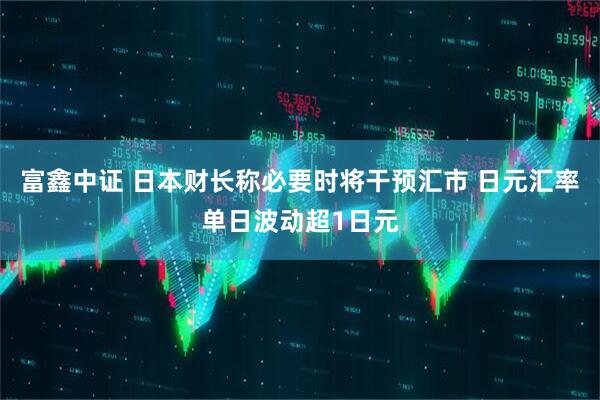富鑫中证 日本财长称必要时将干预汇市 日元汇率单日波动超1日元