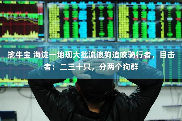 擒牛宝 海淀一地现大批流浪狗追咬骑行者，目击者：二三十只，分两个狗群