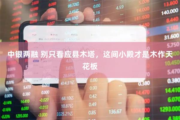 中银两融 别只看应县木塔，这间小殿才是木作天花板
