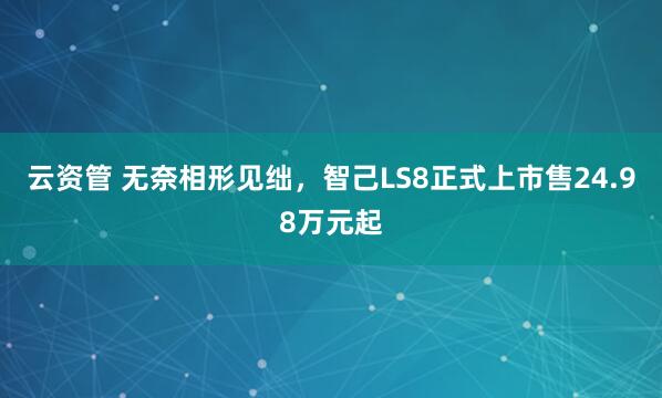 云资管 无奈相形见绌，智己LS8正式上市售24.98万元起