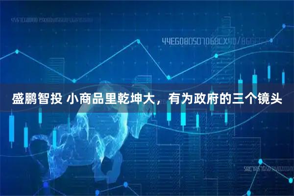 盛鹏智投 小商品里乾坤大，有为政府的三个镜头
