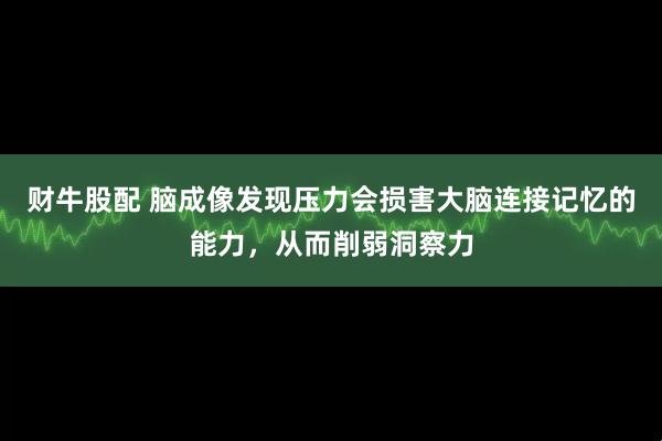 财牛股配 脑成像发现压力会损害大脑连接记忆的能力，从而削弱洞察力