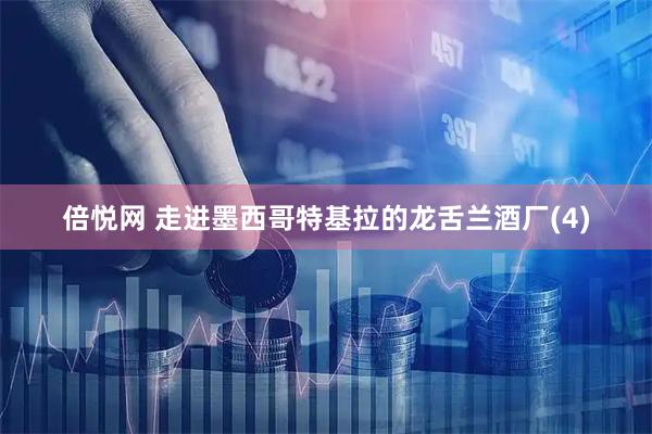 倍悦网 走进墨西哥特基拉的龙舌兰酒厂(4)