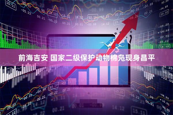 前海吉安 国家二级保护动物棉凫现身昌平