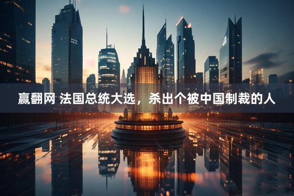 赢翻网 法国总统大选，杀出个被中国制裁的人
